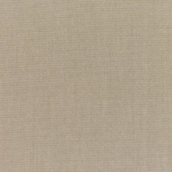 Grade A: Sunbrella Canvas Taupe
